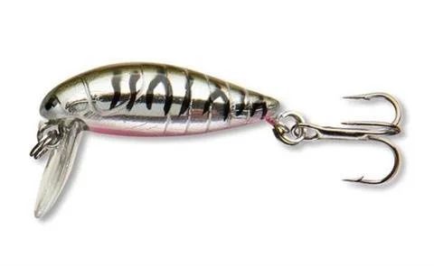 2026_07_10_2343542