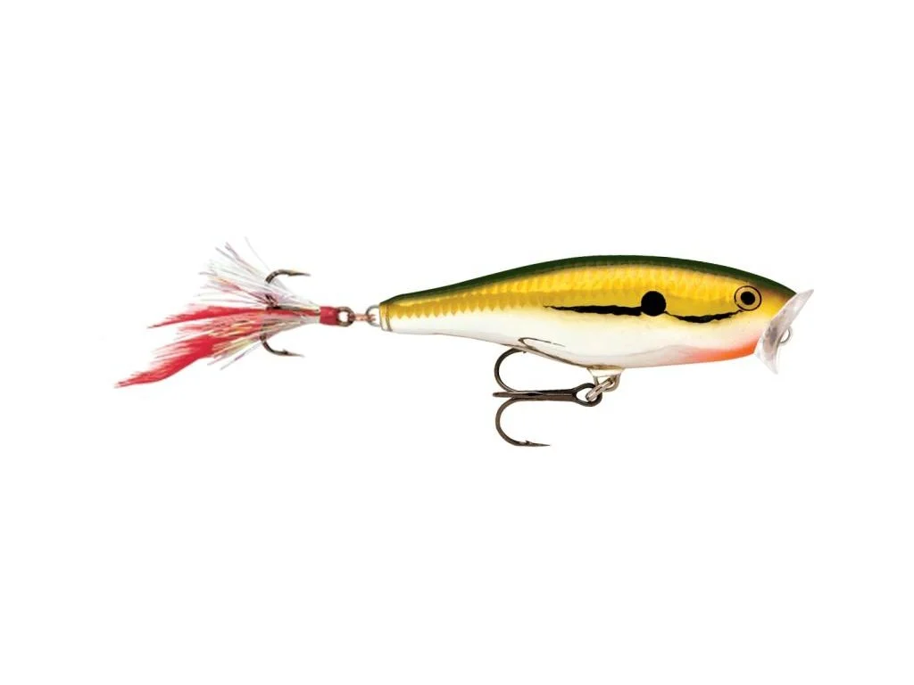2026_07_10_2454302