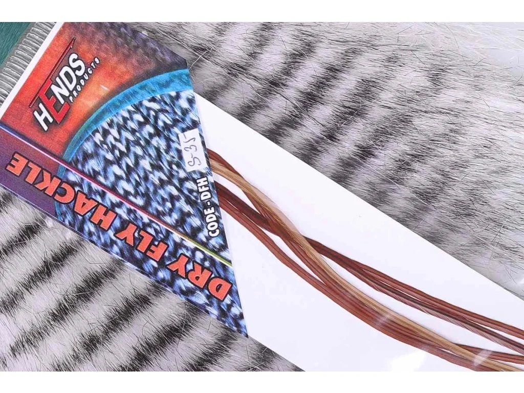 2026_07_10_2458470