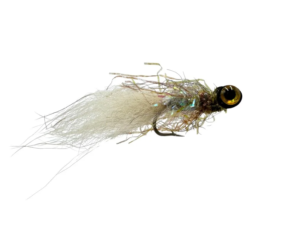 2026_07_10_2472647
