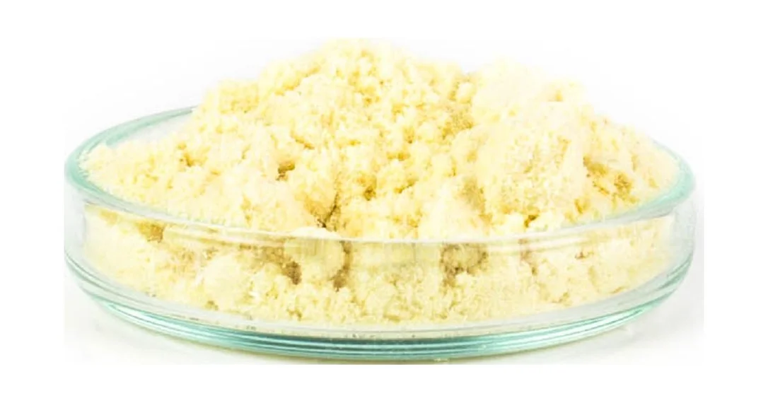 2026_07_11_2550418